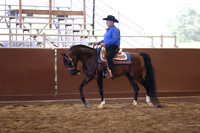 Class 268 Arabian Western Pl - Jr Horse 5 & Under