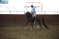 Class 318  Arabian Hunter Pleasure - Jr Horse 5 & Under