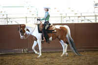 Class 283 HA Western Pleasure - JTR Choice/Elite