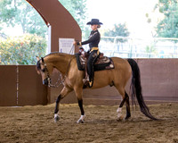 Class 169 HA Western Pleasure - AATR Choice/Elite
