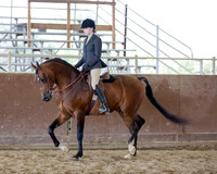 Class 31 - Arabian Hunter Pl Select Riders
