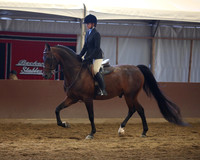 Class 330 HA Hunter Pleasure - JOTR 13 & Under