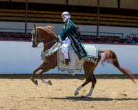 Class 81 HA Mounted Native Costume - ATR