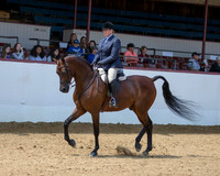 Class 273 HA Hunter Pl - AATR Select