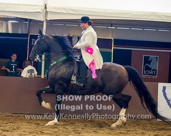 R316_WedPM_3357 copy