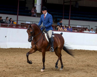 Class 268 HA Hunter Pl - Jr Horse 5 & Undere