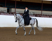 Class 125 Arabian Ladies Side Saddle - ATR