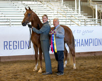 Class 98 HA Mare Breeding Championship - ATH