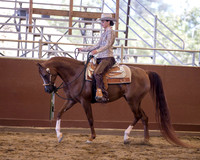Class 55 HA Western Pleasure - Ladies to Ride