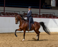 Class 68 HA Country English Pl - JTR Select