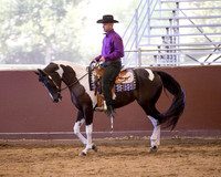 Class 53  HA Western Pleasure - Jr Horse 5 Yrs & Under