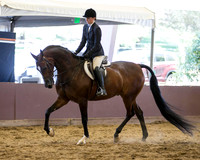 Class 234 HA Hunter Pl - AAOTR 19 yrs & Over