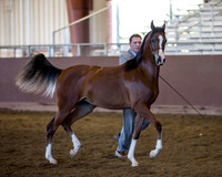R316_ThursAM_5790 copy