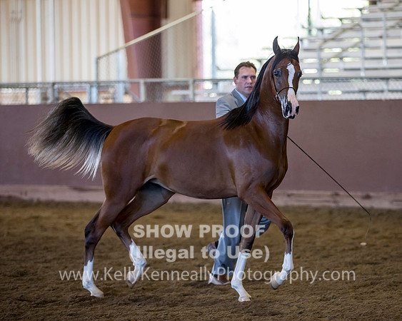 R316_ThursAM_5790 copy