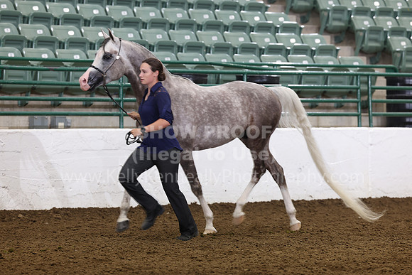 R322_CH_Thurs_2576