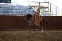 Class 73 Arabian Ladies Side Saddle - Open