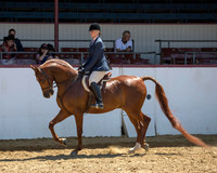 Class 109 HA Hunter Pl - AATR Select