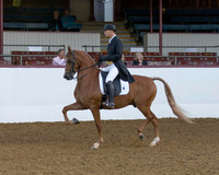 Class 262 HA English Show Hack