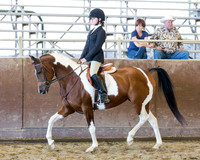 Class 117A - HA/AA Hunter Pl Championship JTR 13 & Under