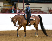 Class 130 HA Western Pl - Mares & Geldings