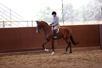 Class 232 Arabian Hunter Pl - AATR Select