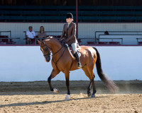Class 119 HA Hunter Pl - AOTR