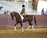 Class 102 A/HA/AA Walk-Trot Hunter Pleasure - Riders 10 & Under