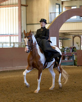 Class 44 HA  Side Saddle - Open