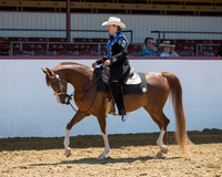 Class 106 HA Western Pl - Jr Horse & 5 Under