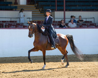 Class 116 AHA Saddle Seat Eq - JTR 18 & Under