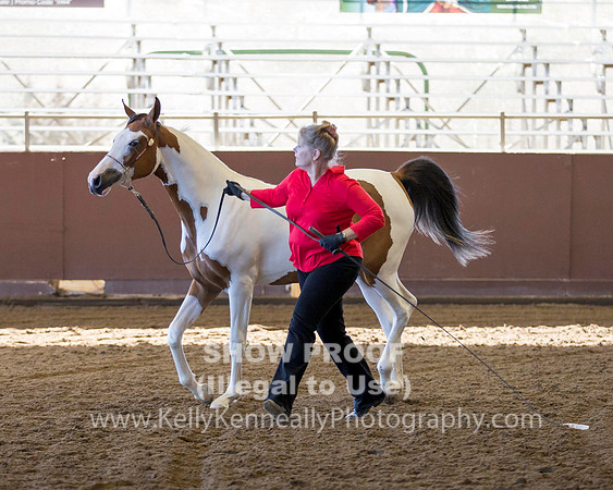 R316_ThursAM_5770 copy