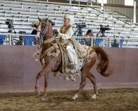 Class 77 HA Mounted Costume - Open