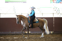 Class 279 Western Horsemanship - AATR 19 Yrs and Older