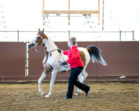 Class 96 HA Filly Breeding - 3 Yrs/Under ATH