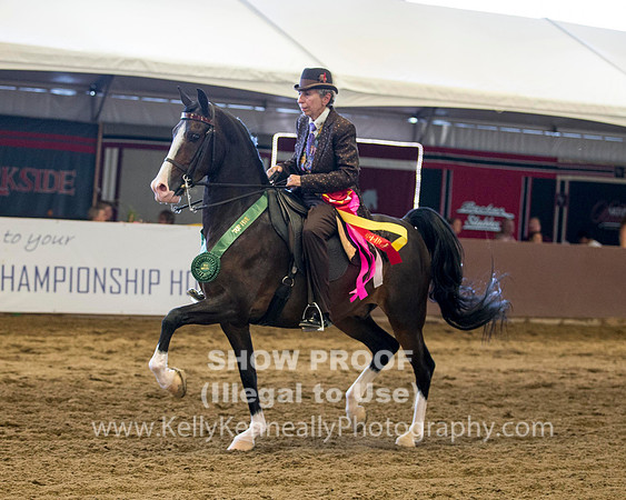 R316_WedPM_3362 copy
