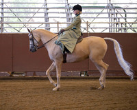 Class 112 HA Ladies Side Saddle - ATR