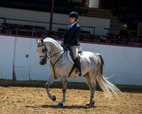 Class 108 AHA Hunter Seat Eq Medal - JTR 14-18