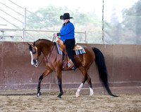 Class 41 - Arabian Western Pl Open