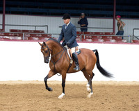 Class 63 HA Hunter Pl - Limit Horse