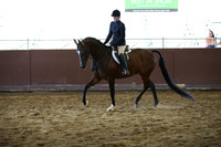 Class 282 HA Hunter Pleasure - AATR Choice/Elite