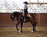 Class 328 Arabian Western Pleasure - AATR Choice/Elite