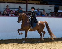 Class 244 HA English Pl - JTR 18 Yrs & Under