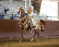 Class 290 HA Mounted Costume - ATR