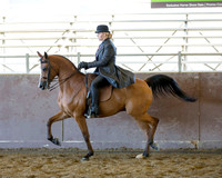 Class 51 - Arabian Country Pl  ATR Select Rider