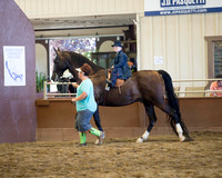 Class 111 Leadline - Riders 2-6 Yrs Old