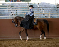 Class 162 Arabian Ladies Side Saddle - ATR