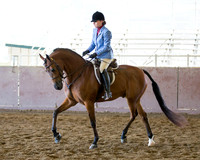 Class 9 - HA/AA Hunter Pl Jr Horse