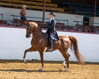 Class 114 Saddle Seat Eq - JTR 18 & Under