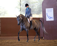 Class 47 Arabian Hunter Pleasure - Ladies to Ride