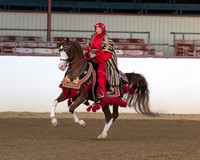 Class 126 Arabian Mounted Native Costume - Open